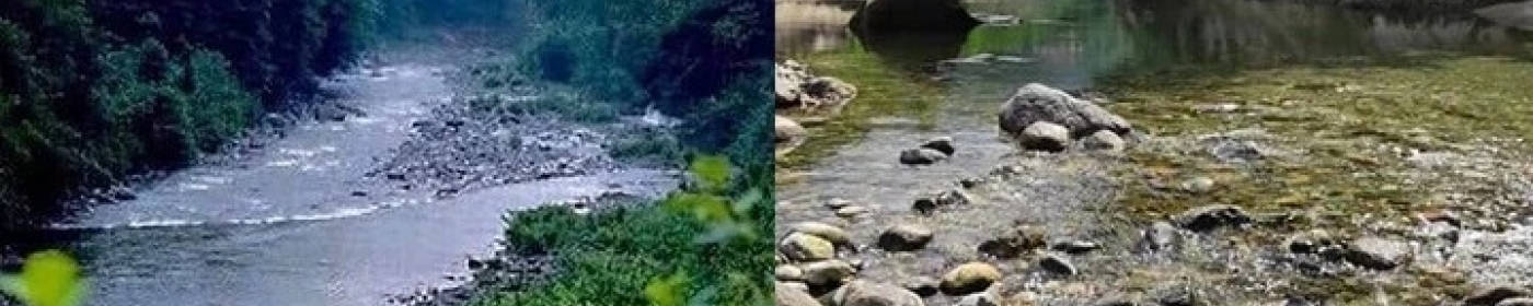 Salarha Deresi'nde Su Kaybı Endişesi: HES'ler ve Ekosistem Tartışması Yeniden Gündemde